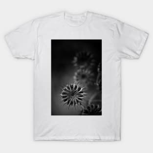 432 Hz T-Shirt